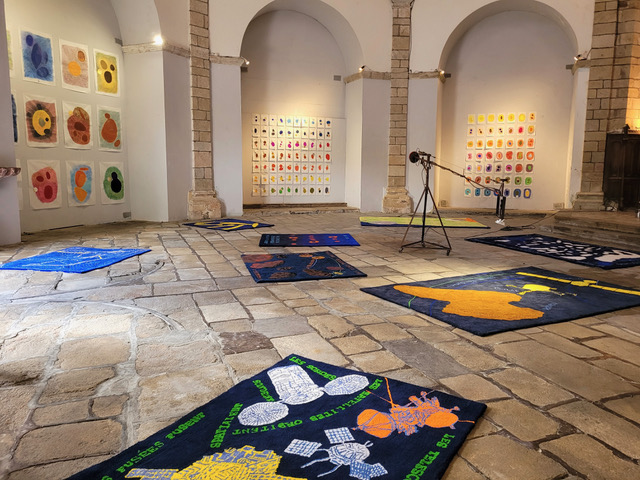 exposition Marcher dans l'espace à l'église St Pierre, Tulle